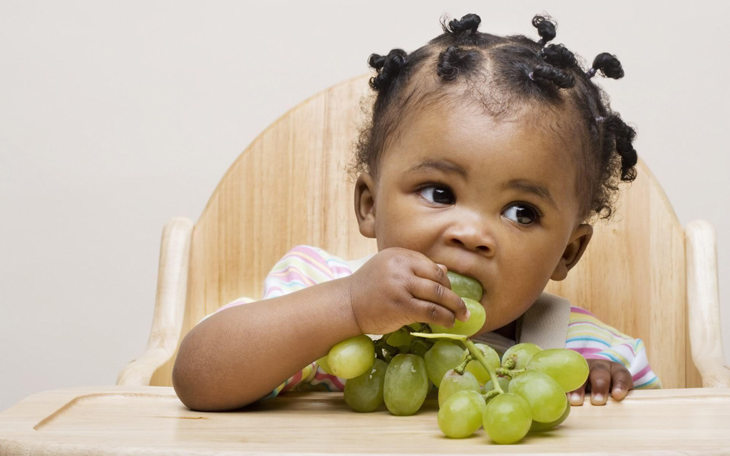 Baby Loves Fruits